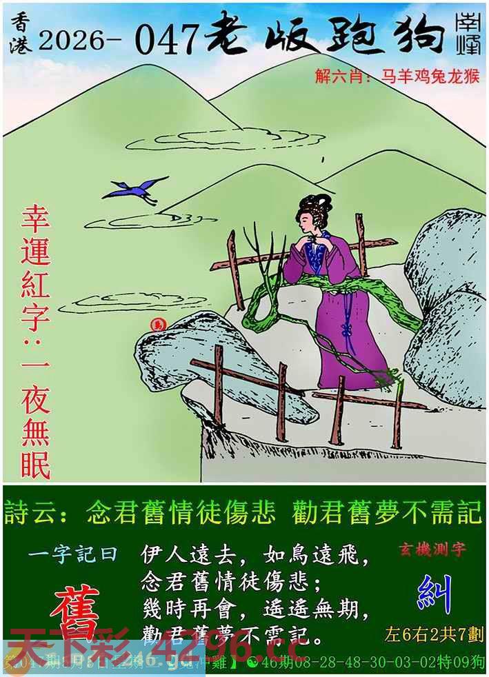 图片载入中...
