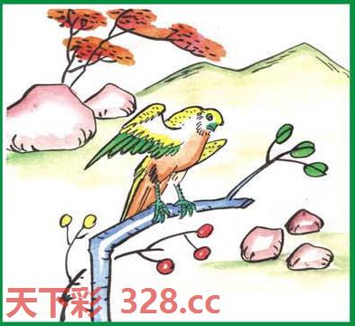 图片载入中...