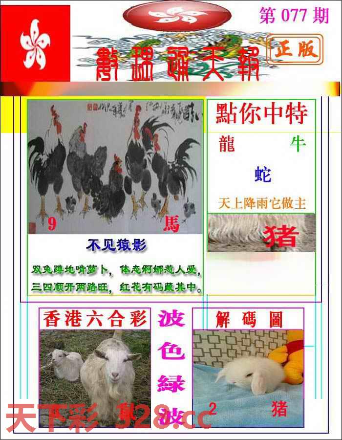 图片载入中...