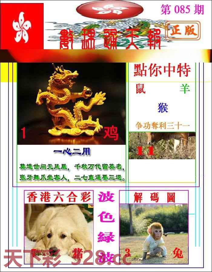 图片载入中...