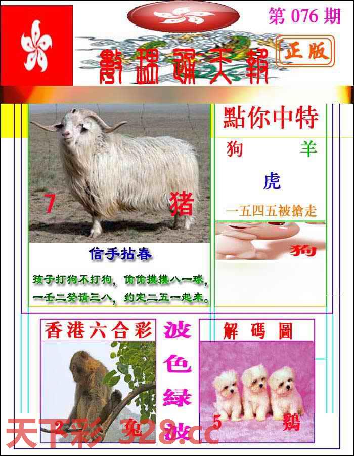 图片载入中...