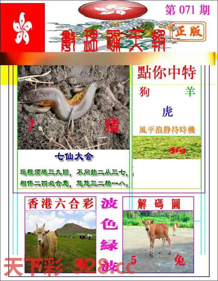 图片载入中...