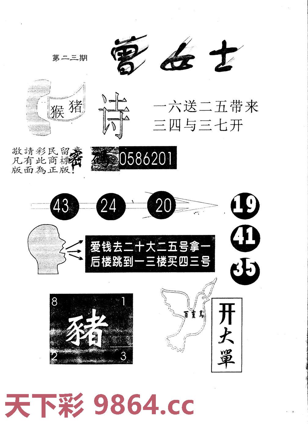 图片载入中...