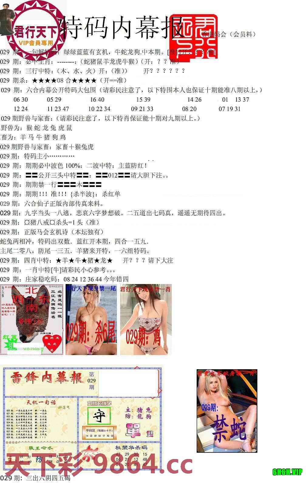 图片载入中...