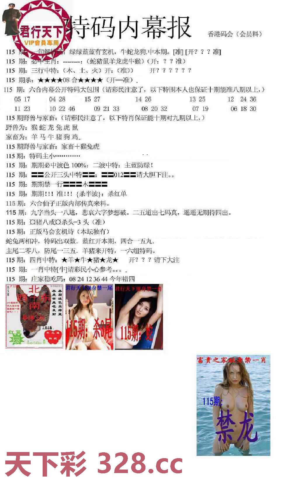 图片载入中...