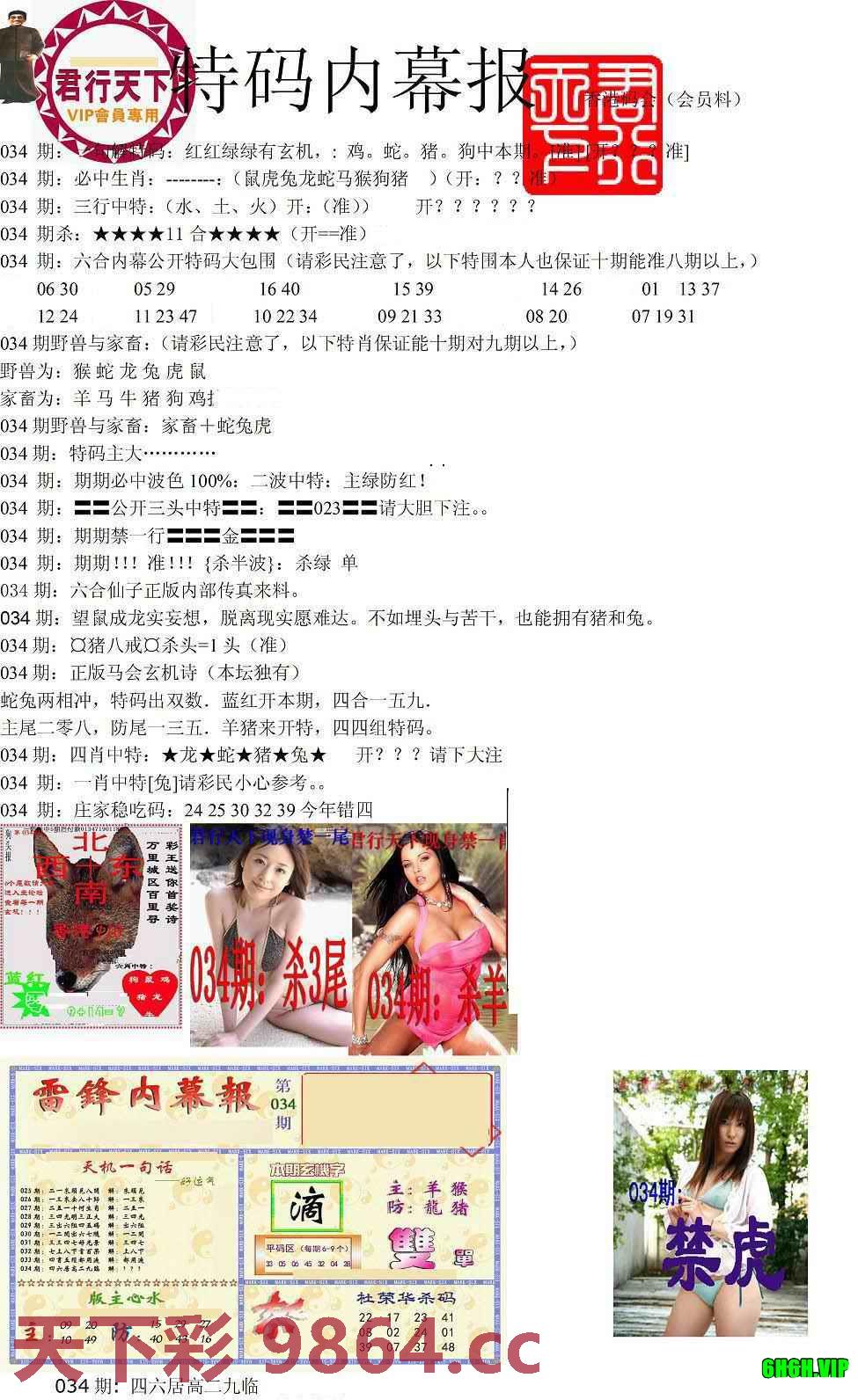 图片载入中...