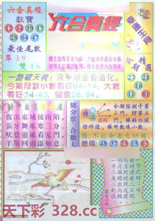 图片载入中...