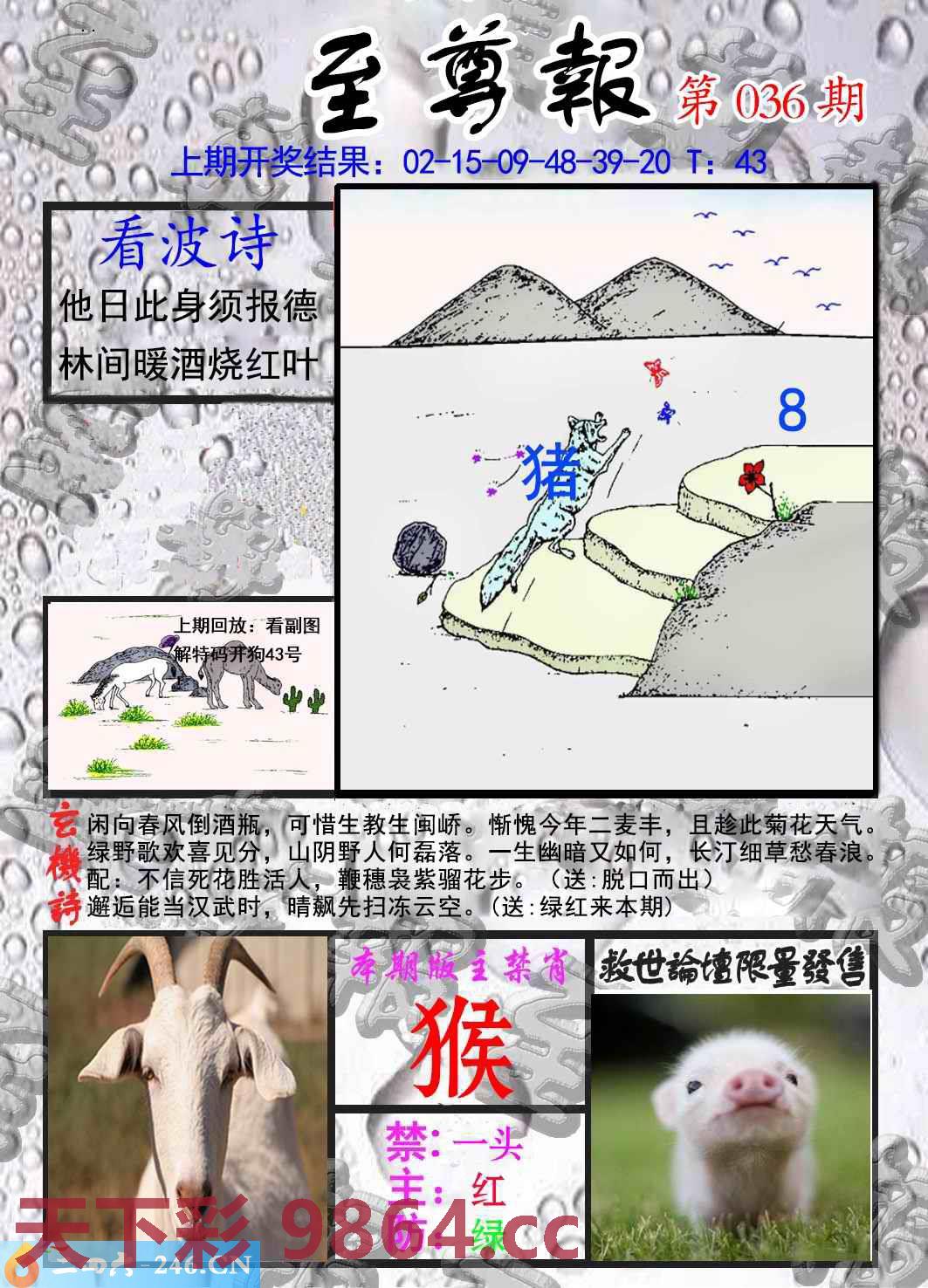 图片载入中...