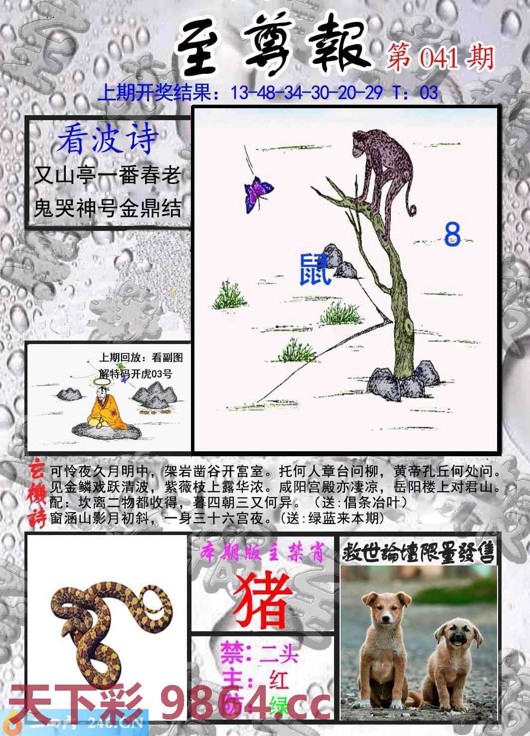图片载入中...