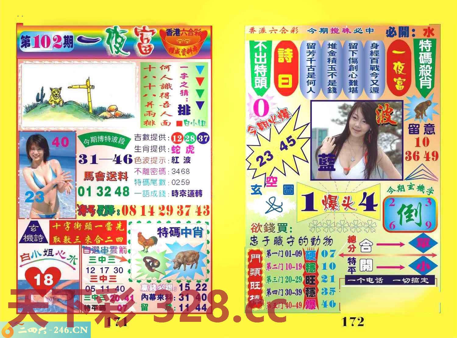 图片载入中...