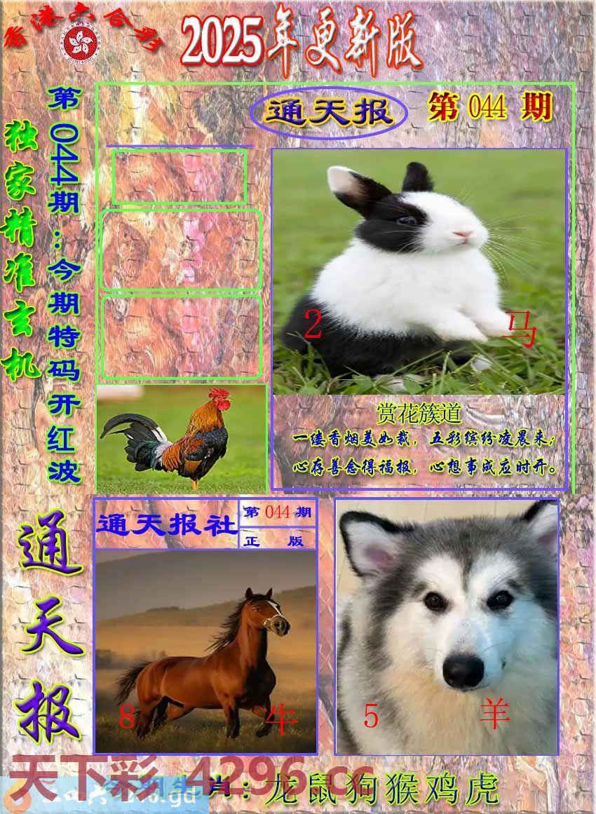 图片载入中...