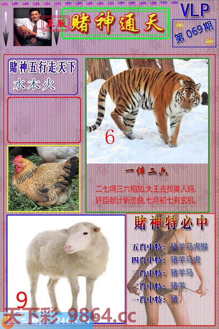 图片载入中...