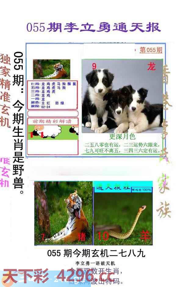 图片载入中...