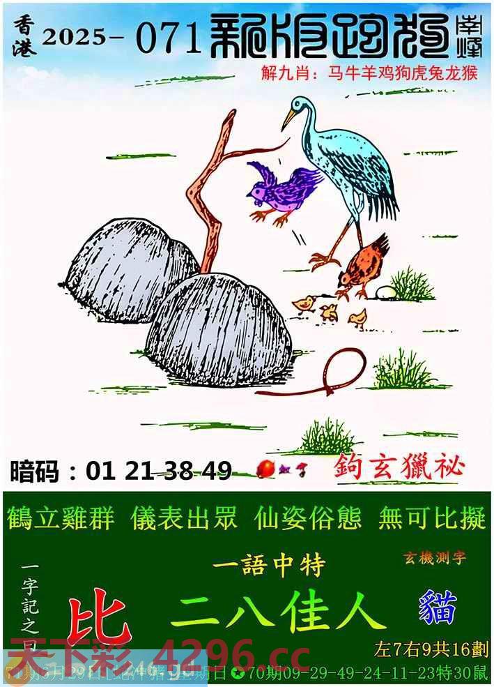 图片载入中...