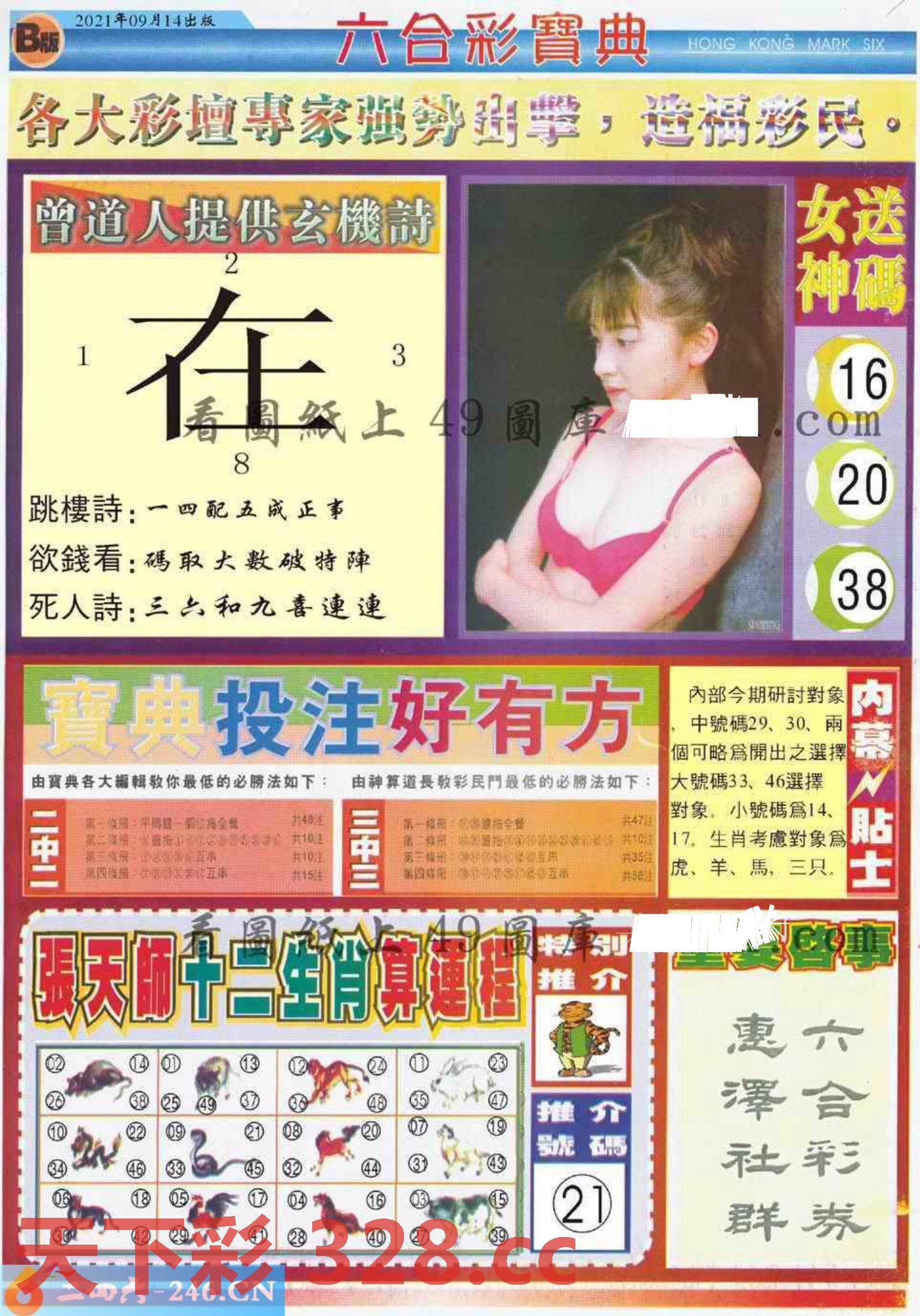 图片载入中...