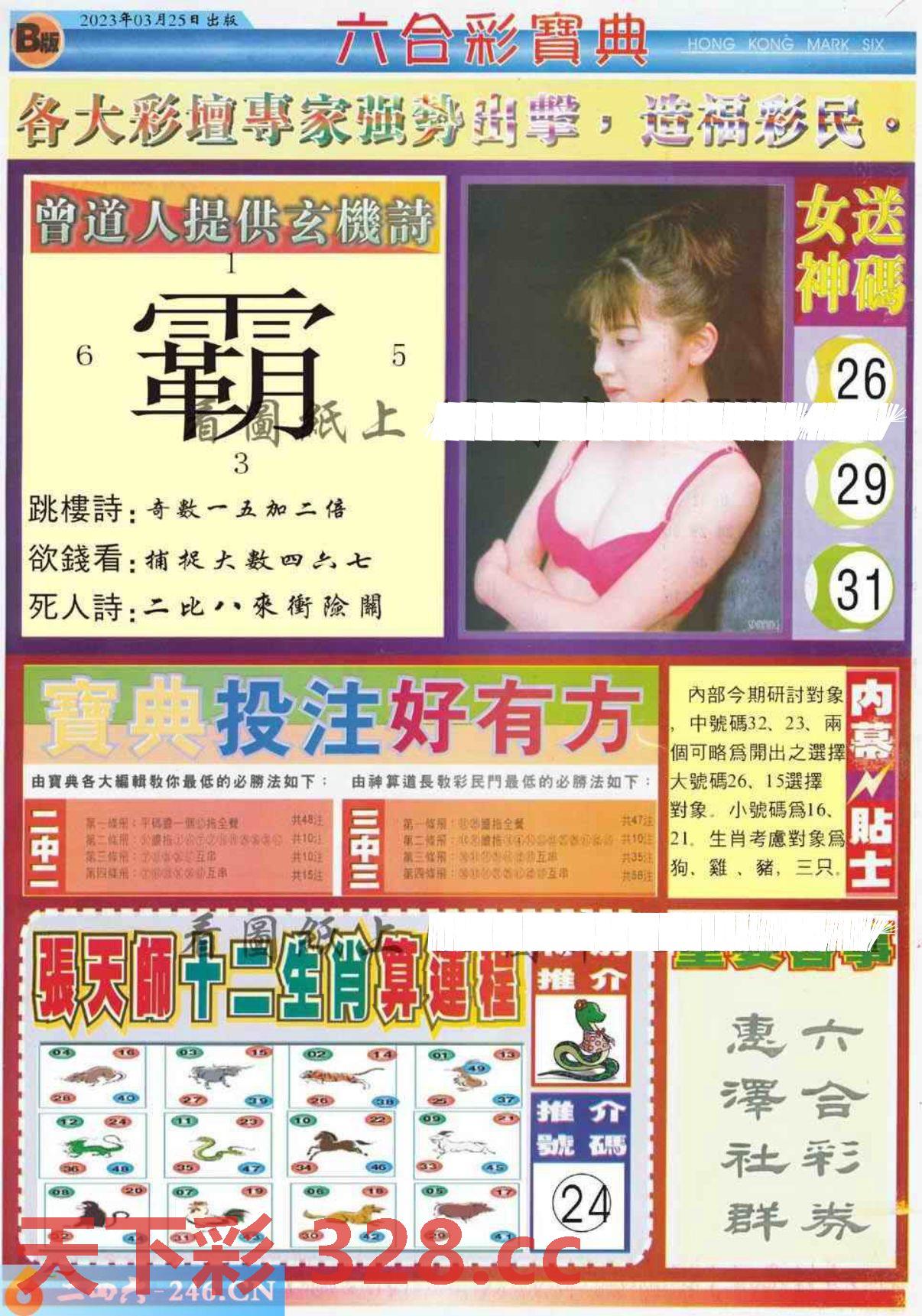 图片载入中...