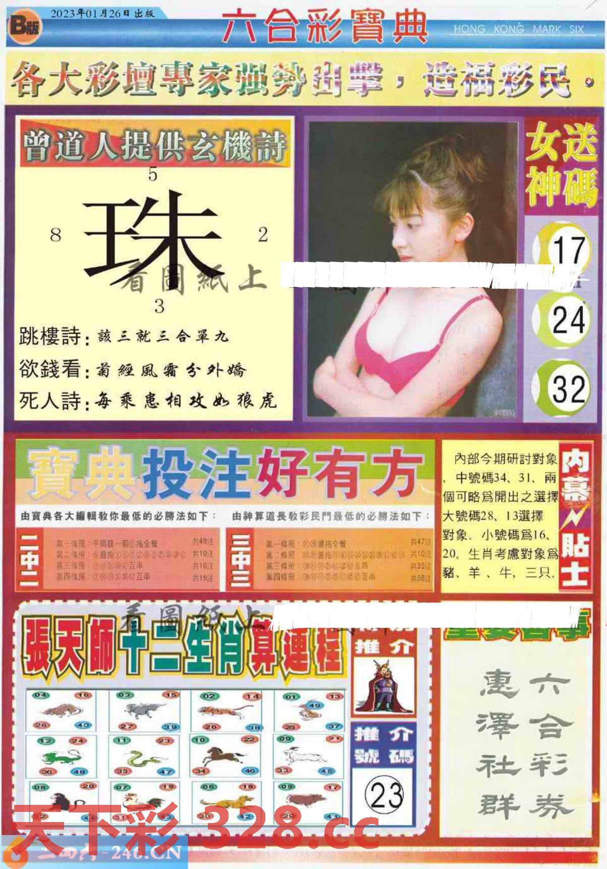 图片载入中...