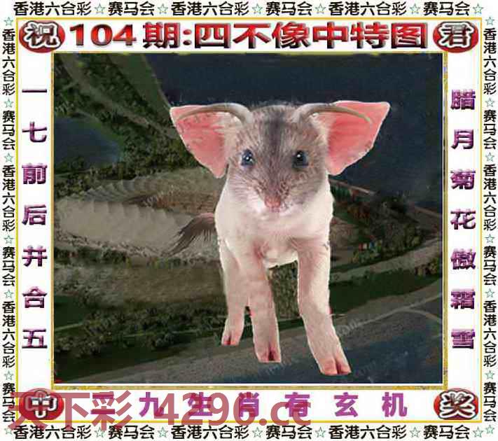 图片载入中...