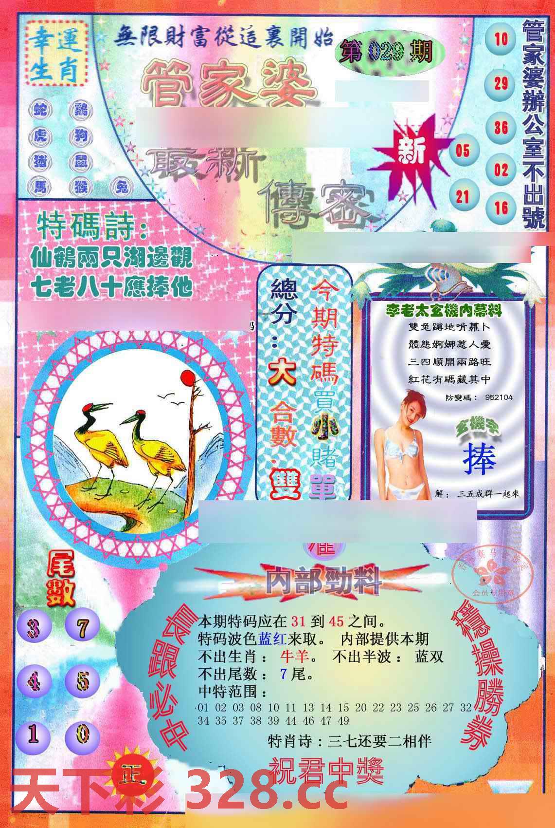 图片载入中...