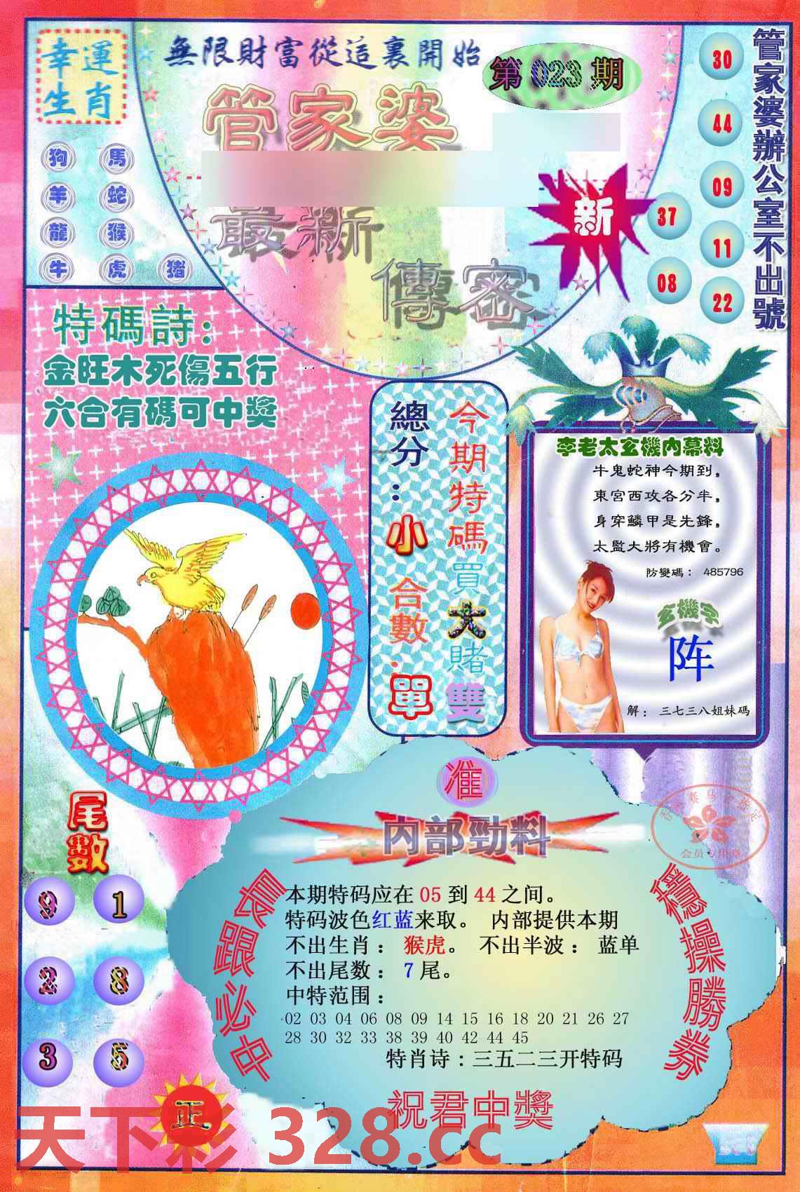 图片载入中...