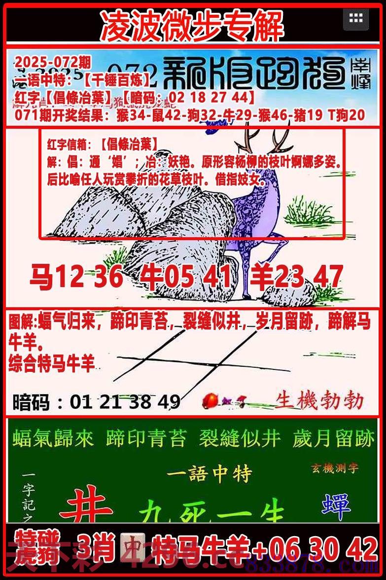 图片载入中...