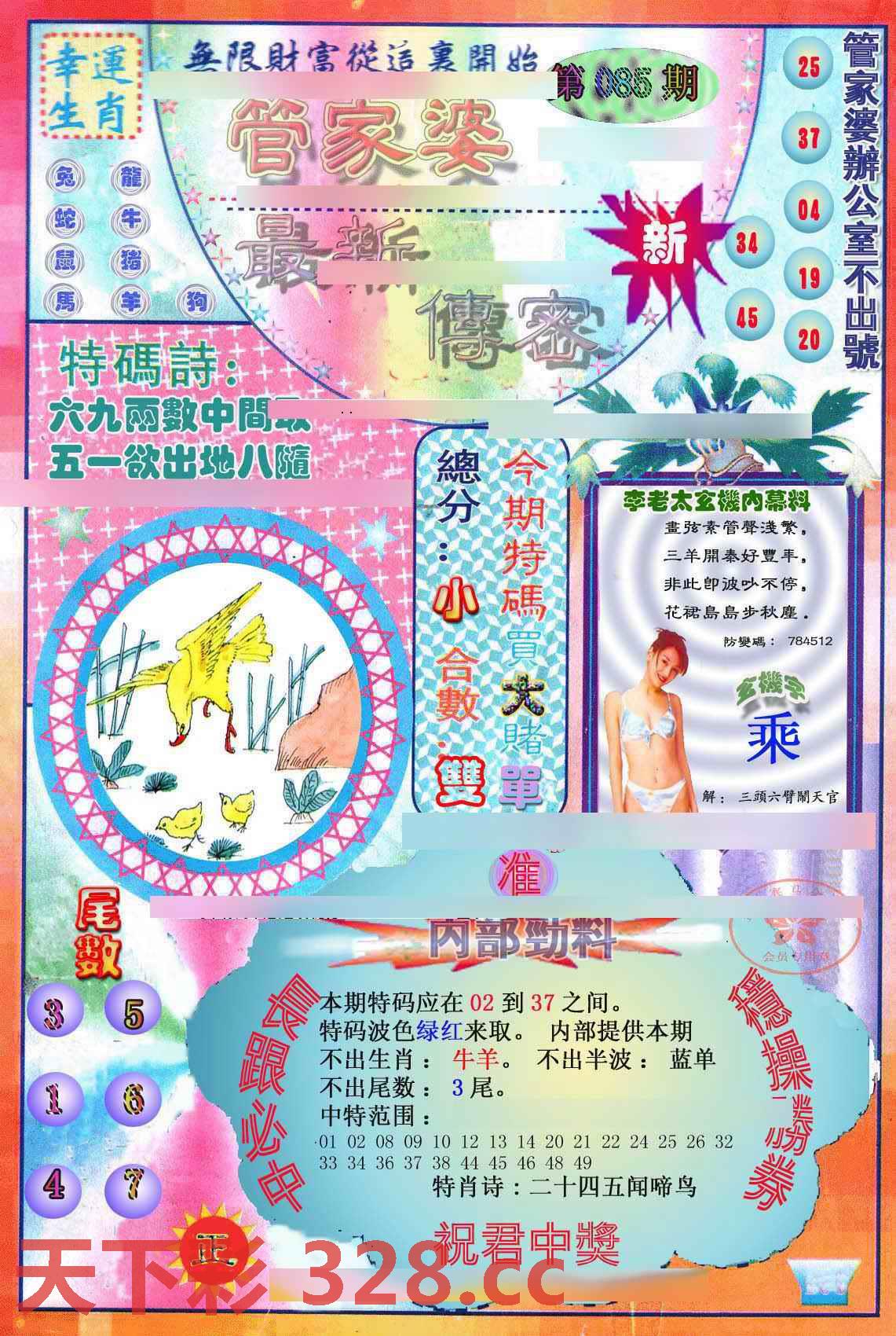 图片载入中...