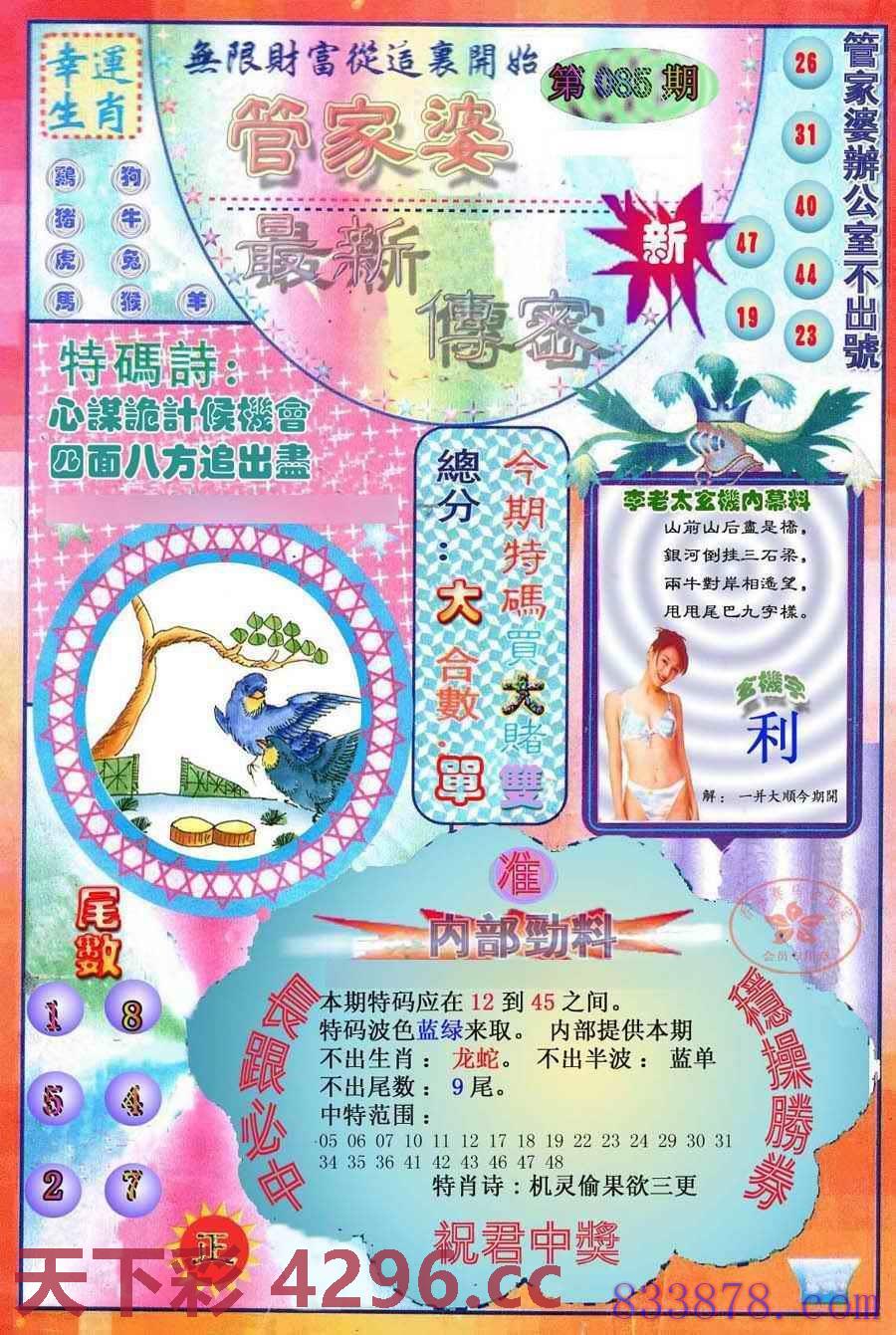 图片载入中...