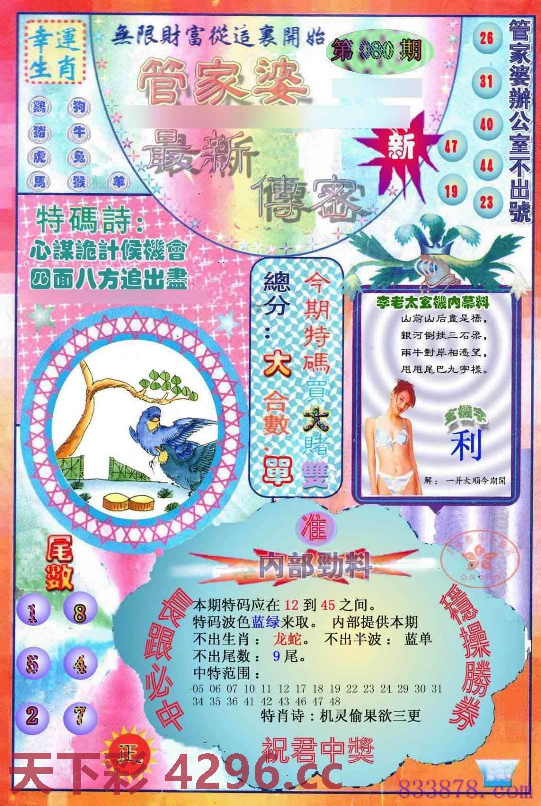 图片载入中...