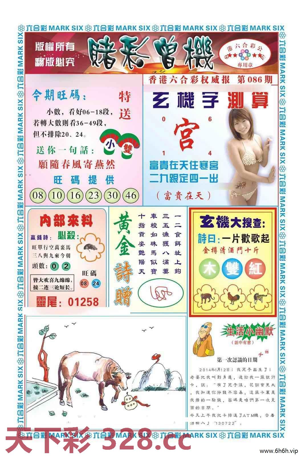 图片载入中...