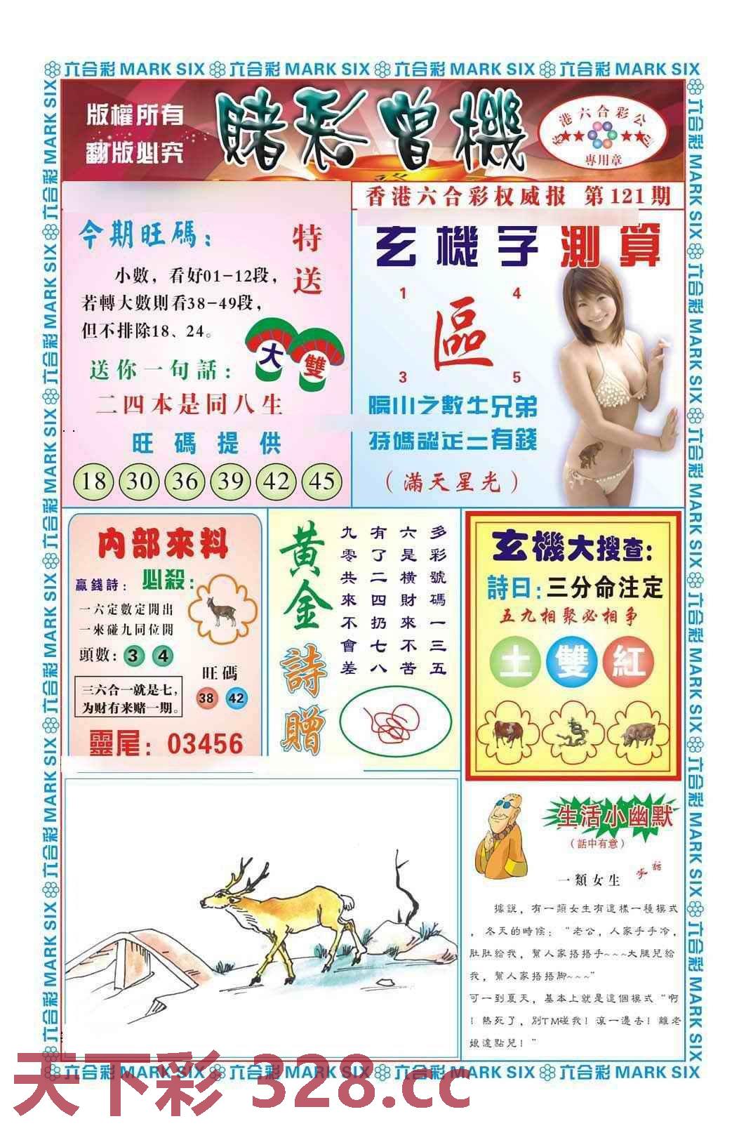 图片载入中...